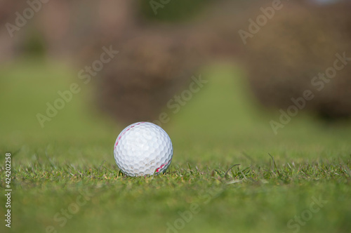 Closeup of Golf Ball on grass.