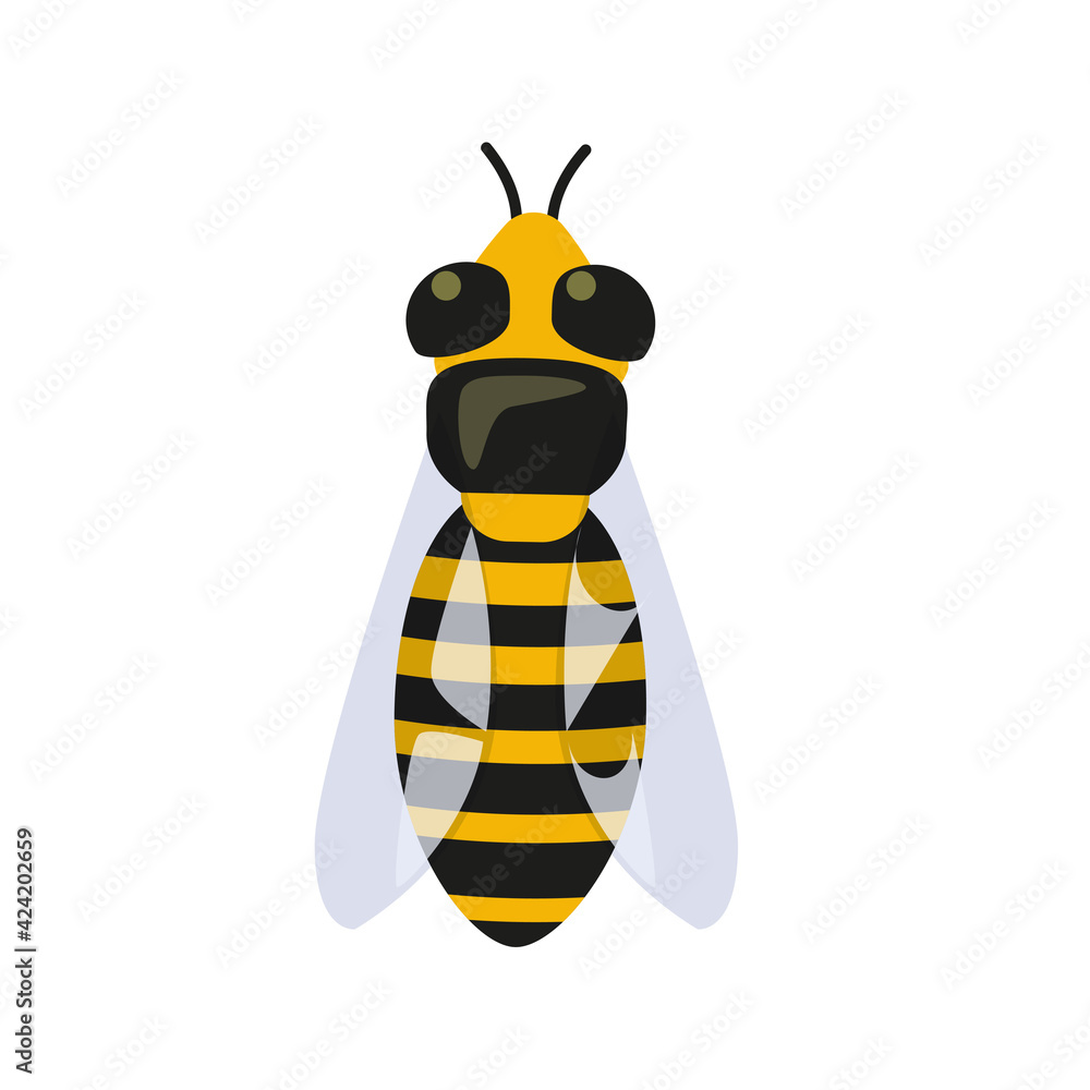 Vector flat design bee illustration isolated on transparent background. Top view of an insect Vector flat design bee illustration isolated on transparent background. Top view of an insect