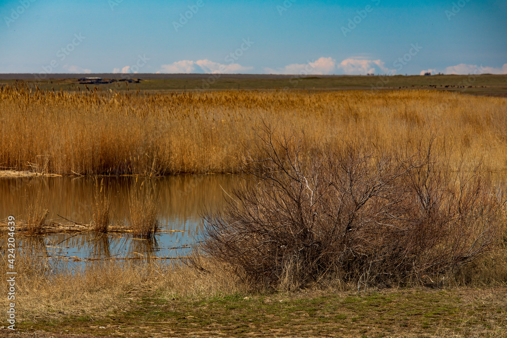 view of the steppe