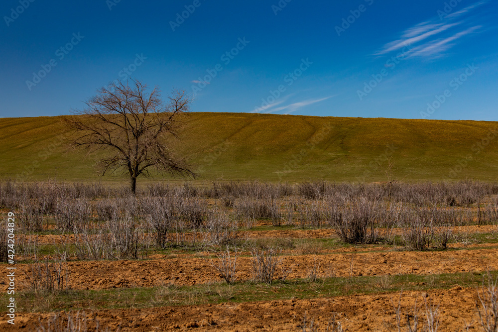 view of the steppe