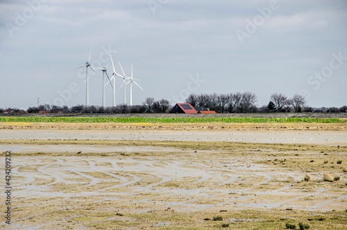 Wetlands in the floodplain of Spui river near Goudswaard, The Netherlands, with in the background a row of wind turbines and a farm with solar panels on the roof photo