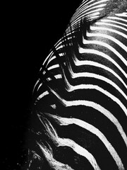 Handdoek met foto Texturen Zebrahuid textuur zwart wit  © Reinaldo