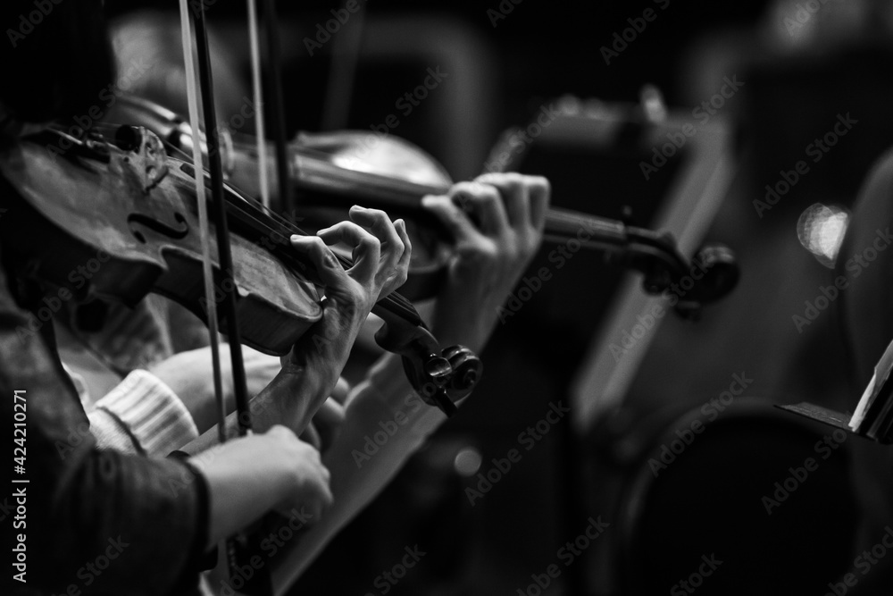 Violinists' hands in a symphony orchestra in dark colors Violinists' hands in a symphony orchestra in dark colors