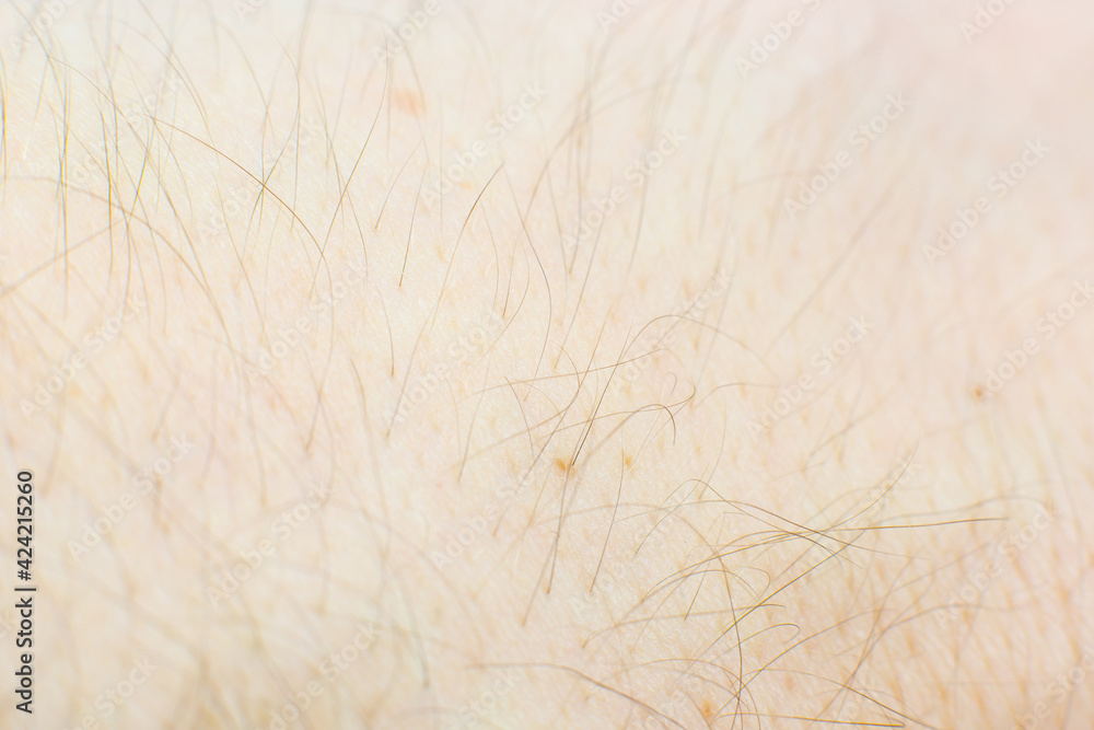 Human skin with hairs texture background. Macro photo, close up. Human skin with hairs texture background. Macro photo, close up.