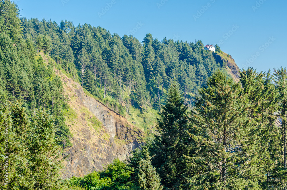 Beautiful Mountain Artist Ridge Trail Park. Mount Baker, Washington, USA.