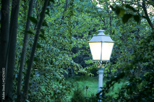 a white lamppost of warm light among green trees and green plants in the evening of a summer day photo