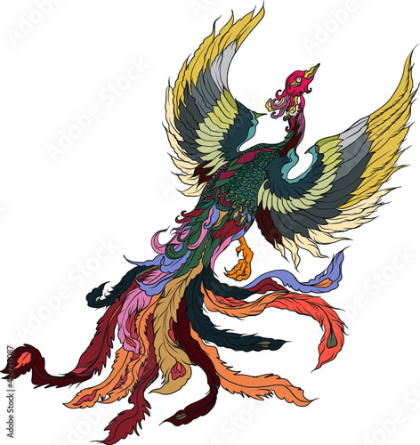 hand drawn Chinese peacock tattoo.Asian Phoenix fire bird tattoo design.Colorful Phoenix fire bird colouring book illustration.Hand drawn Japanese tattoo style.