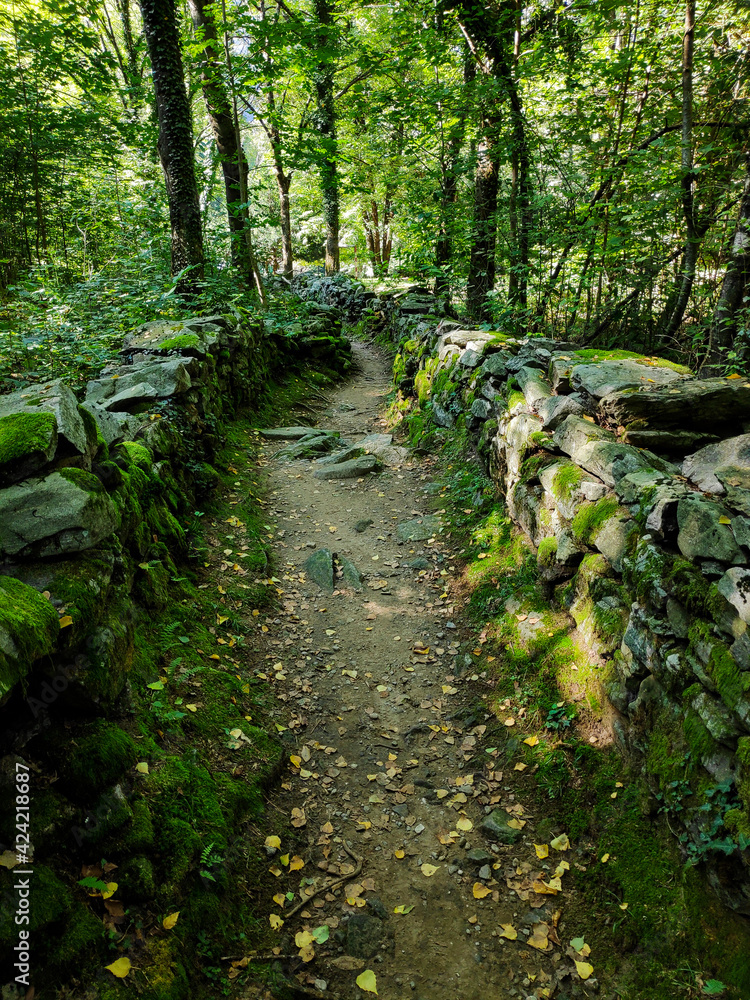 Obraz premium Dry stone wall in Dunzio, Vallemaggia, Switzerland