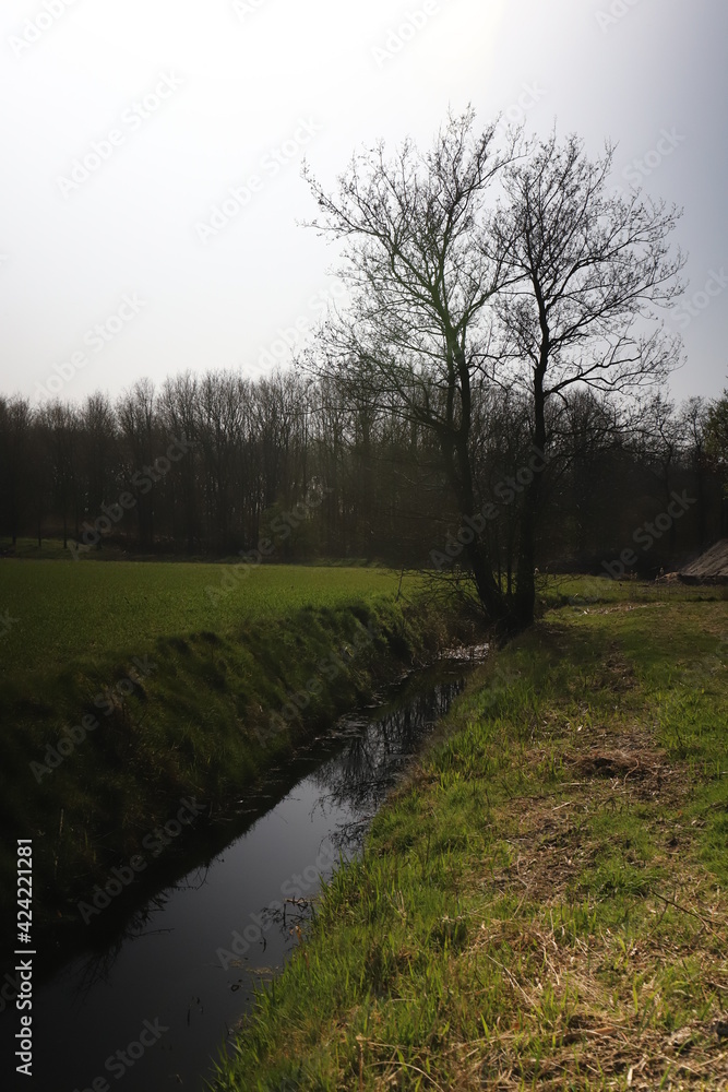 Beautiful pasture landscape and a small stream. Photo was taken on a sunny day during early spring. Beautiful pasture landscape and a small stream. Photo was taken on a sunny day during early spring.