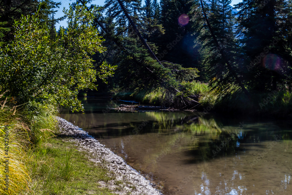 40 Mile Creek meanders beside Fenland Trail. Banff National Park, Alberta, Canada 40 Mile Creek meanders beside Fenland Trail. Banff National Park, Alberta, Canada