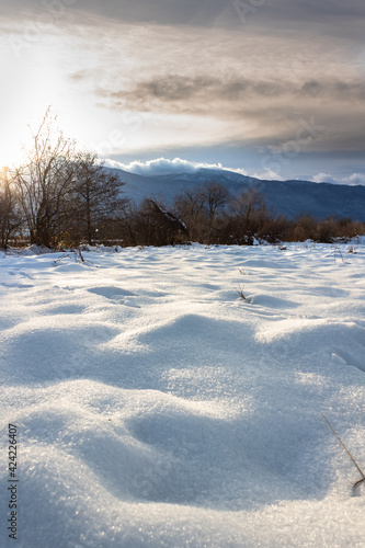 Fototapeta Naklejka Na Ścianę i Meble -  winter landscape with snow