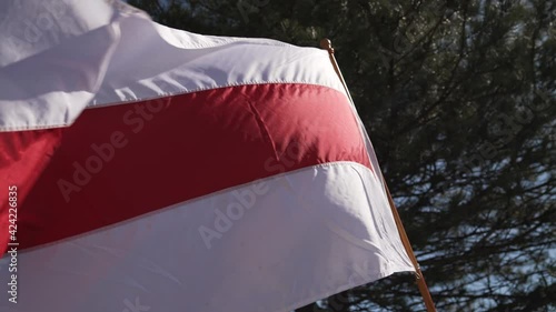 White red white Flag of Belarus. Peaceful protest in Minsk against dictator Lukashenko photo