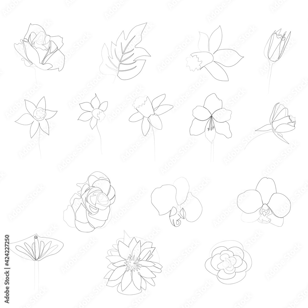 continuous line drawing of beautiful flowers