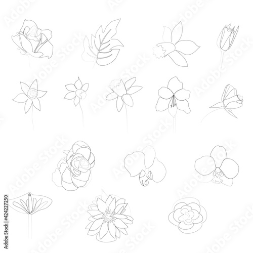 continuous line drawing of beautiful flowers