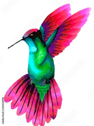 Beautiful bright hummingbird bird in motion while flying. Technique alcohol markers.