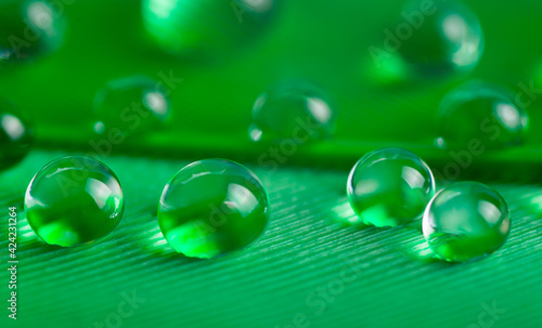 A drops of water dew on a fluffy green feather close up macro