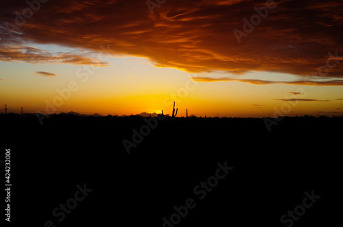 Desert sunset
