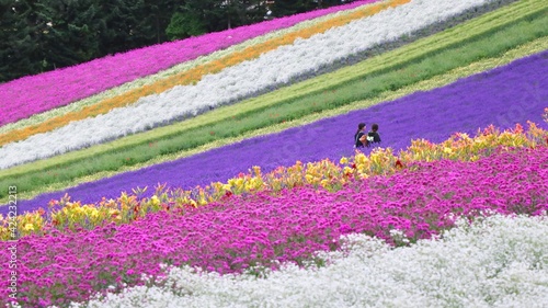 Rainbow Field, Hokkaido, Japan