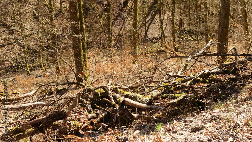 Das Gehresbachtal Das Gehresbachtal