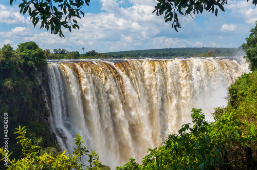 Victoria falls in the forest