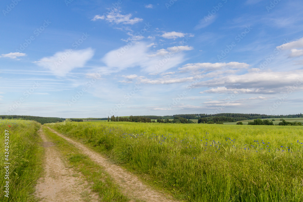 Sommerlandschaft im harz blühender Mohn Sommerlandschaft im harz blühender Mohn