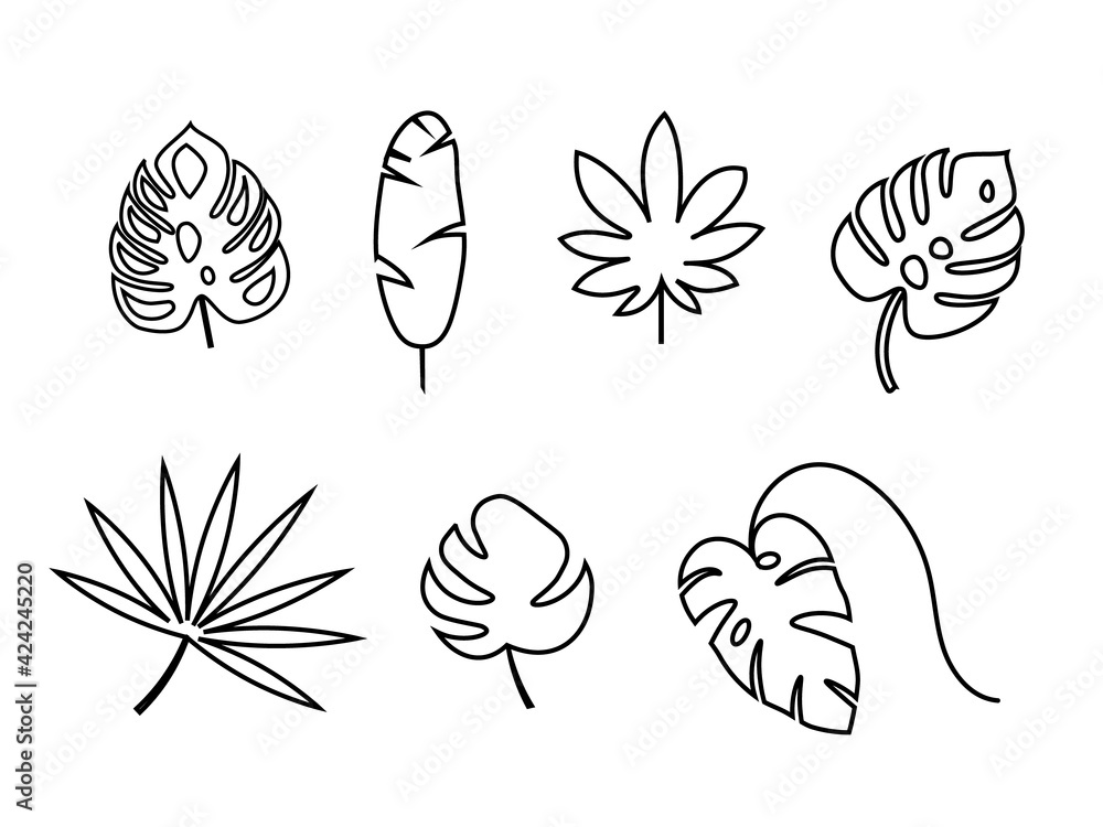 Set of exotic tropical leaves. Monstera, palm, banana. Vector stock illustration for poster or card Set of exotic tropical leaves. Monstera, palm, banana. Vector stock illustration for poster or card