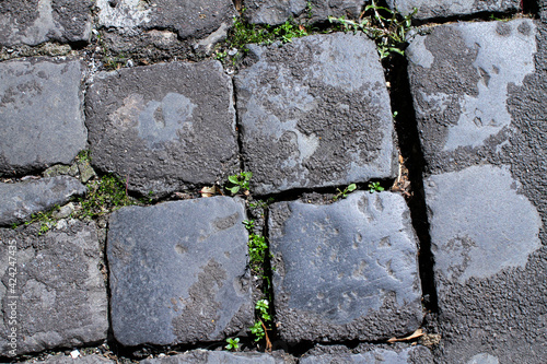 Detail of a Roman road made with large leucitite stones, a few leaves of grass between the interstices. photo