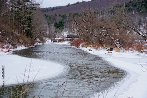 Robert V. Riddell State Park in Upstate New York photo