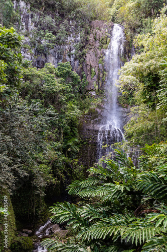 Water cascades down over cliffs to from Wailua Falls along the Hana Highway  Maui  Hawaii 