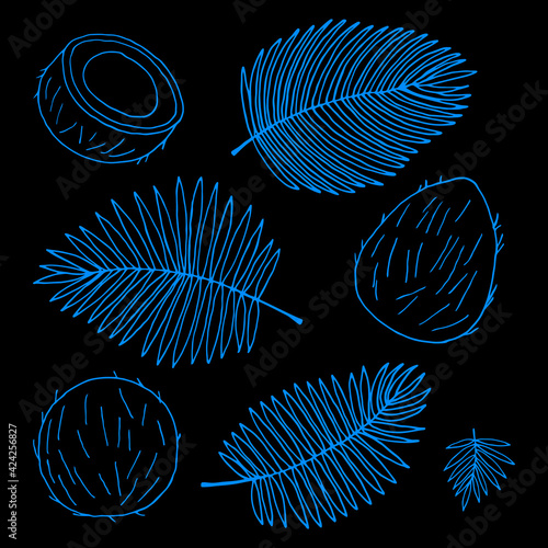 Vector drawing with coconuts and palm leaves on a black background. Contour drawing in doodle style.