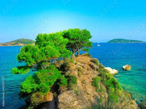 Fototapeta Naklejka Na Ścianę i Meble -  Greece, Skiathos island, seascape with pine trees on rocky cliff