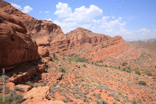 Red Cliffs Recreation Area in Utah, National Conservation Lands, USA © traveller70