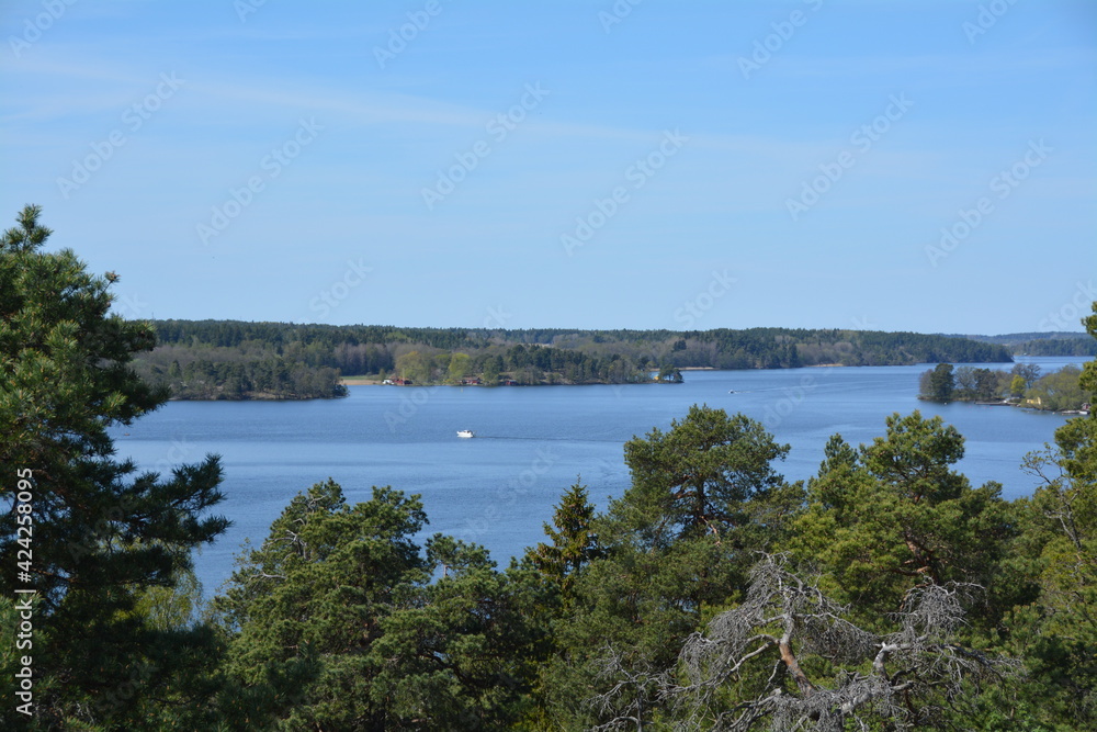 lake and forest