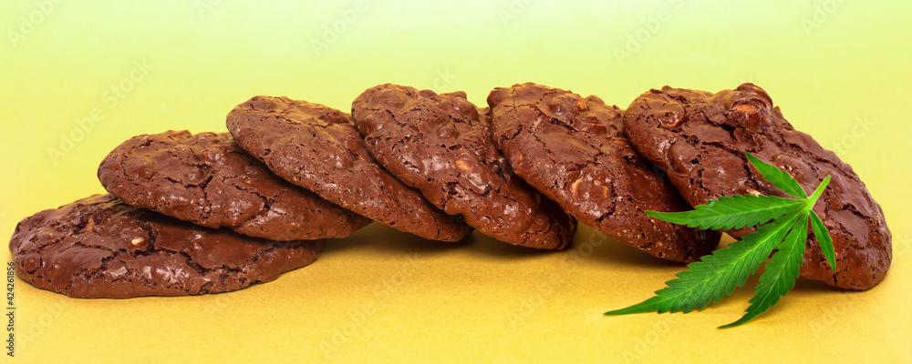 oatmeal cookies and green leaf of cannabis on a yellow background. marijuana cookies panorama oatmeal cookies and green leaf of cannabis on a yellow background. marijuana cookies panorama