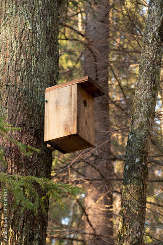 Bird house