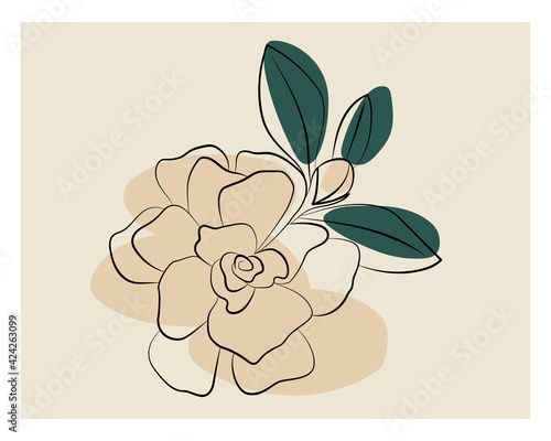 Indoor plant gardenia jasmine. Vector illustration of a flower.