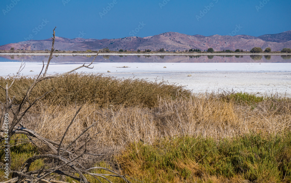Dry salt Igroviotopos Alikis lake between Tigaki and Marmari, Alykes Tigaki wetlands area, Kos island, Greece Dry salt Igroviotopos Alikis lake between Tigaki and Marmari, Alykes Tigaki wetlands area, Kos island, Greece