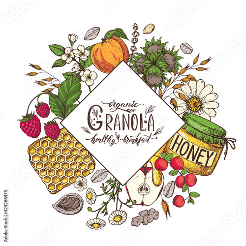 Granola sketch illustration. Breakfast label. Oat flakes , berries, fruits and nuts. Breakfast top view frame. Morning food menu design. Hand drawn sketch vector illustration.
