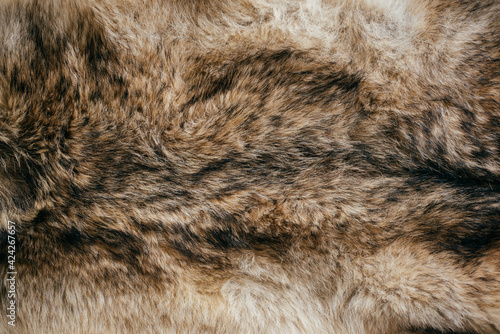 Фотография wolf fur texture light color with dark stripes close up