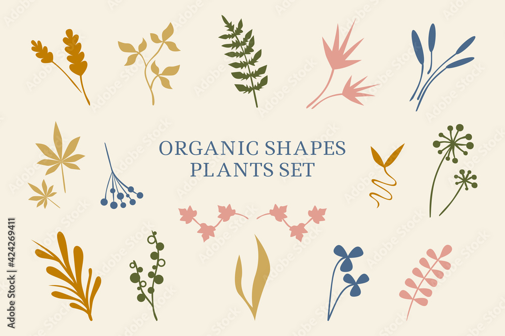 Vector set of abstract plants, leaves, organic shapes. Hand drawn minimalistic design for banner, cover, wallpaper, textile, stories background decoration.