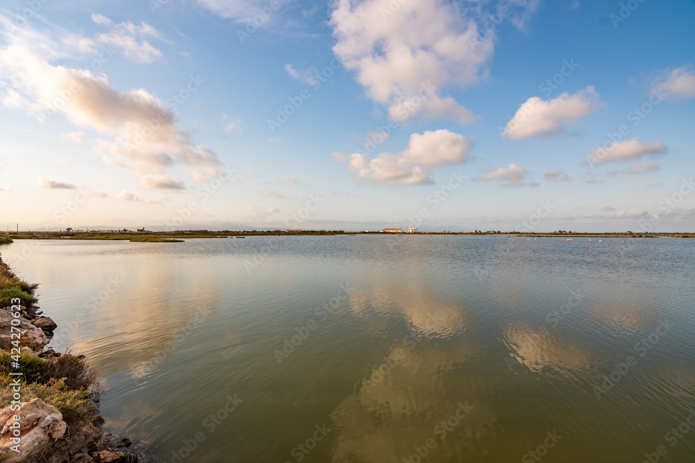 view of a wetland landscape with clouds reflected in the water and some flamingos in the water