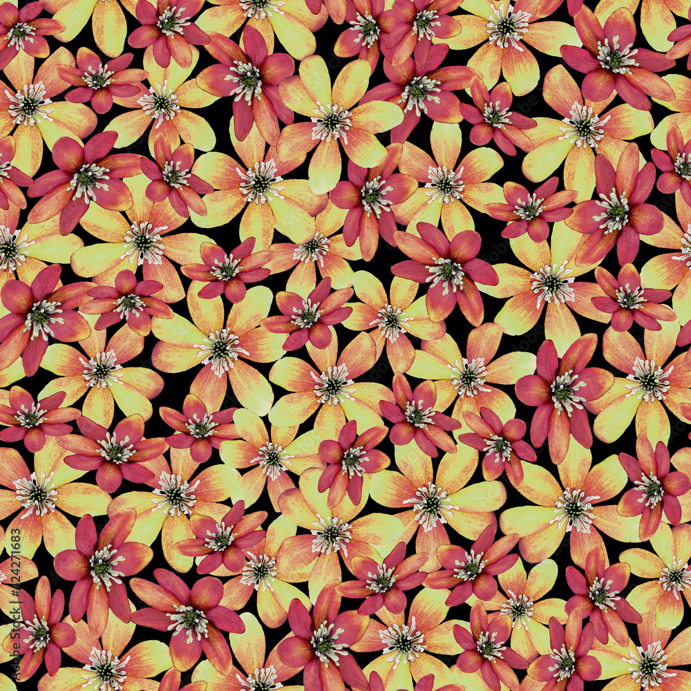 Yellow and red watercolor effect snowdrop flower seamless pattern on dark background