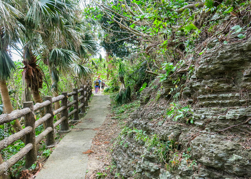 A trail with tourists in the jungle on the island of Yonaguni in Japan photo