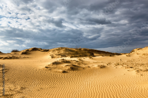 Contrasting landscape  yellow desert and gray clouds