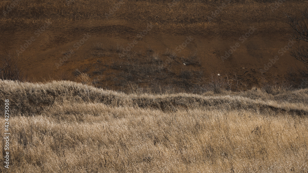 Clay mountain with grass