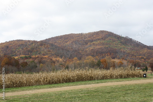 Virginia's Blue Ridge Mountains in the fall of 2013