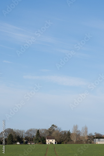 Lines in farmers field leading to house with large blue sky above house.
