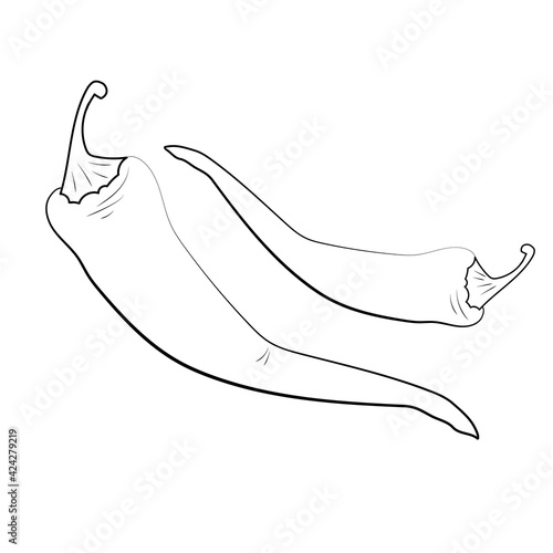 chili pepper hand drawing icon isolated on white background. Vector
