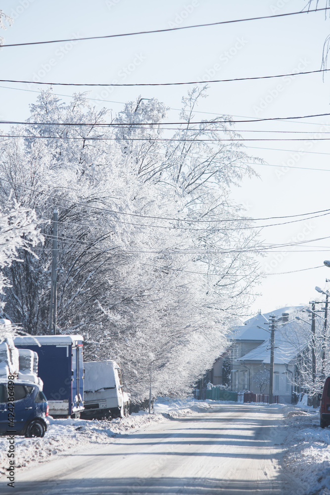 Fototapeta premium Small streets and trees in town covered in snow