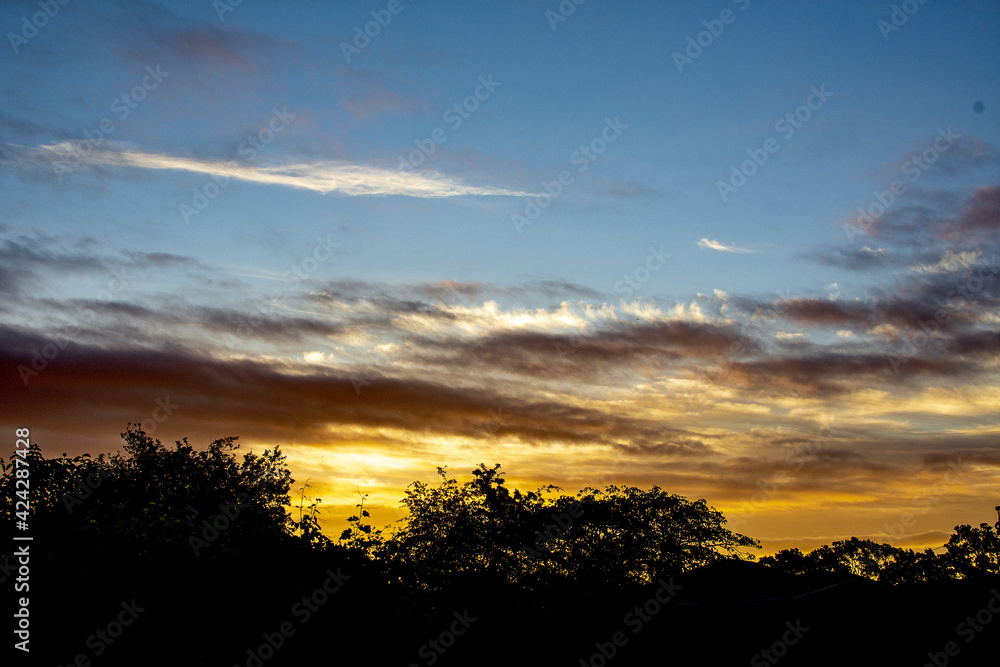 Fototapeta premium Sunrise over the field